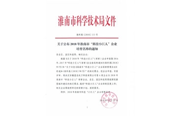 2018年淮南市“科技小巨人”企业培育名单的通知