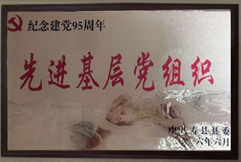 先进基层党组织