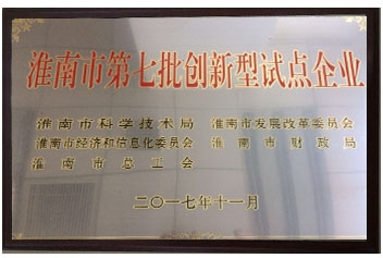 淮南市创新型试点企业